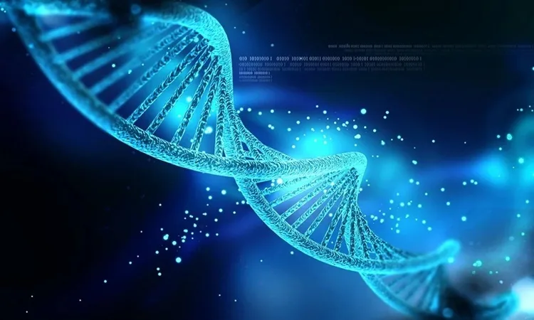 Máy tính ADN xử lý phép tính phức tạp không cần điện